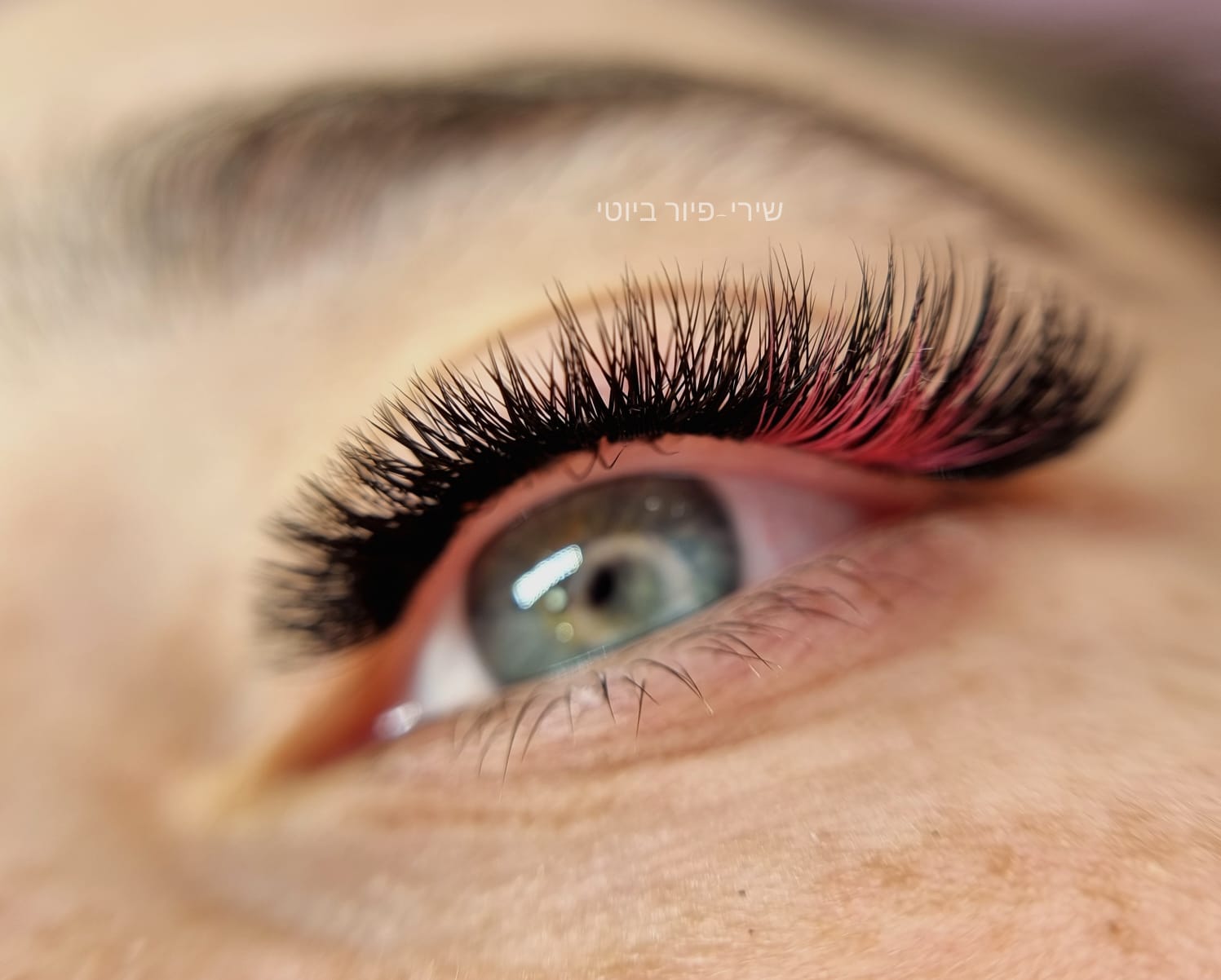 לורם איפסום1